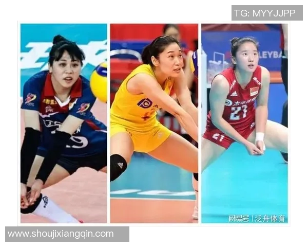 西安排球队实力引发热议球迷对阵容与战术展开激烈讨论