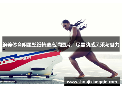 绝美体育明星壁纸精选高清图片，尽显动感风采与魅力