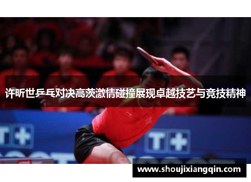 许昕世乒乓对决高茨激情碰撞展现卓越技艺与竞技精神