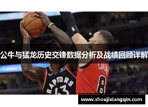 公牛与猛龙历史交锋数据分析及战绩回顾详解