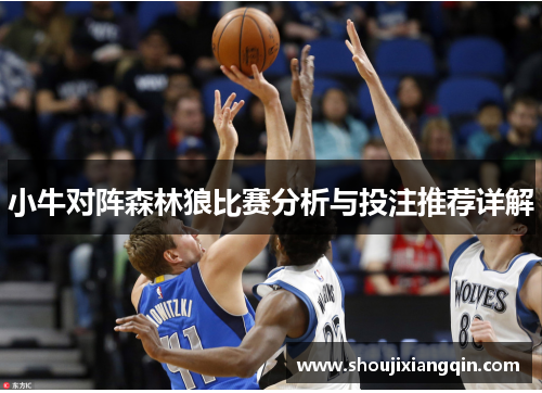 小牛对阵森林狼比赛分析与投注推荐详解